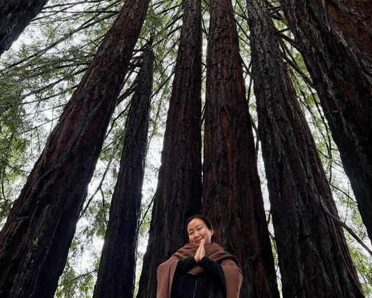 From Apple to 10 Days of Silence